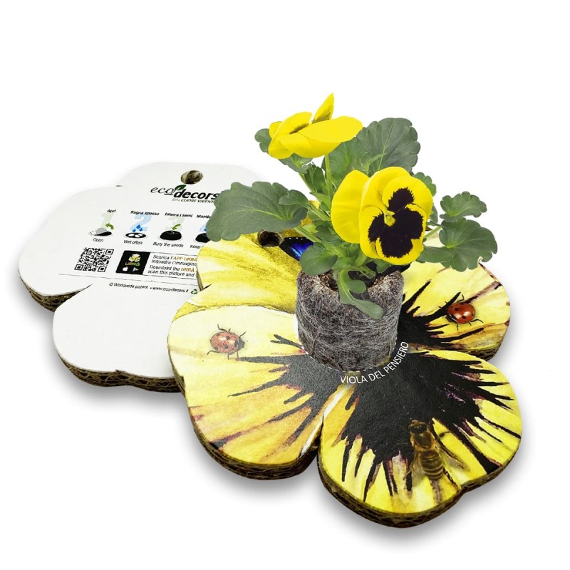 Eco-Decors Sagomata Viola del Pensiero – Viola del Pensiero