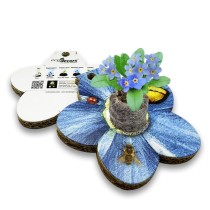 Eco-Decors Sagomata Nontiscordardimè – Nontiscordardimè