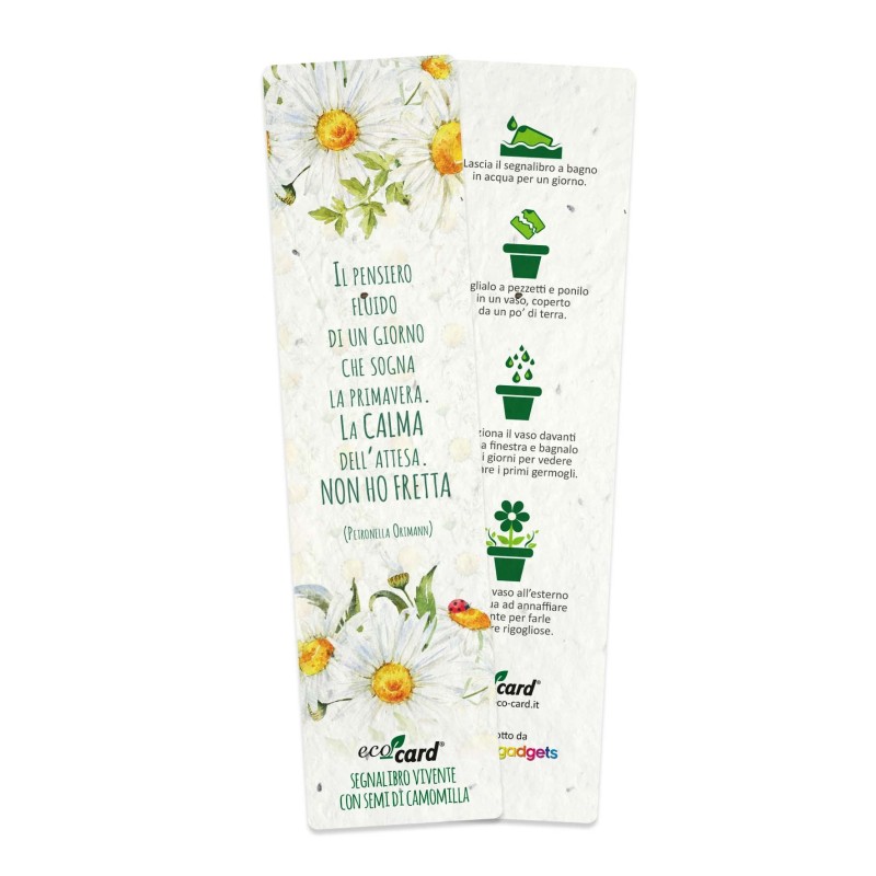 ECO-CARD segnalibro che germoglia piantabile con semi di CAMOMILLA