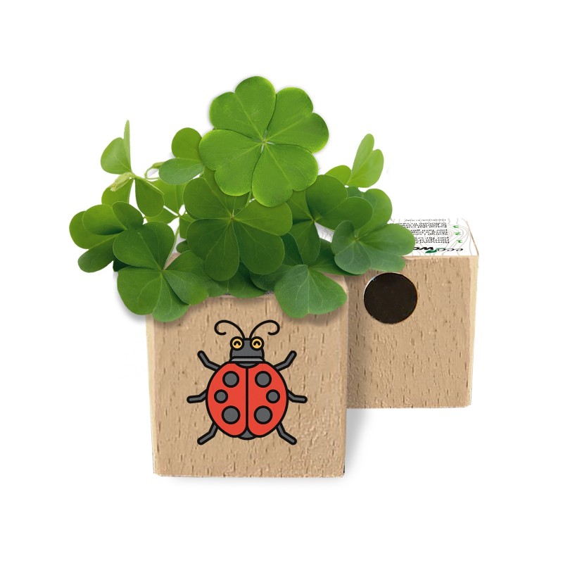 Eco-Woody - Cubo ecologico con semi di Quadrifoglio 