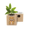 Eco-Woody - Cubo ecologico con semi di Salvia