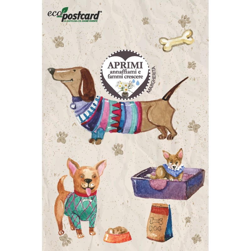 Eco-Postcard cane felice - margherita