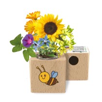 Eco-Woody - Cubo ecologico con semi di Lattuga