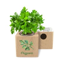 Eco-Woody - Cubo ecologico e sostenibile con semi di Prezzemolo