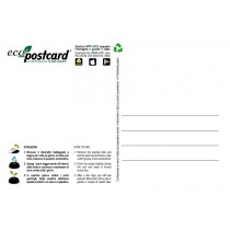 Eco-Postcard gatto che mangia erba gatta