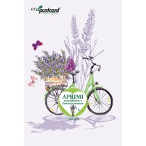 Eco-Postcard Lavanda in bicicletta