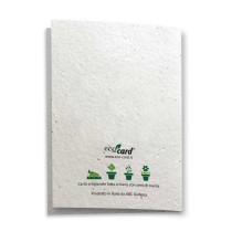 ECO-CARD Biglietto Congratulazioni in carta piantabile con MENTA
