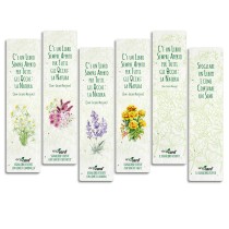ECO-CARD segnalibri piantabili serie EVERGREEN