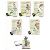 Espositore Eco-postcard - Collezione Officinali