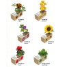 Espositore Eco-Woody - Collezione Piante e Fiori