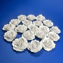 FIORI DI CARTA PIANTABILI Ecologici e sostenibili in carta con semi 