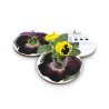 Eco-Decors Pallina ecologica Primavera viola – Viola del pensiero