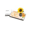 Eco-Postcard zodiaco Leone - girasole