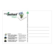 Eco-Postcard zodiaco Acquario - borragine