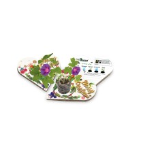 Eco-Decors decorazione ecologica Heart of earth, con semi di ipomea