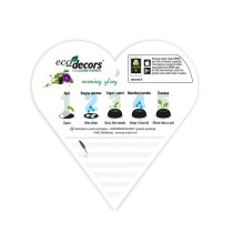 Eco-Decors decorazione ecologica Heart of earth, con semi di ipomea
