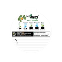 Eco-Decors decorazione ecologica halloween, con semi di zucchetta ornamentale