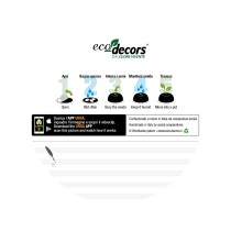 Eco-Decors Medaglia ecologica vivente “Squadra vincente” (Ipomea)