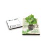 Eco-Postcard pianta officinale - Melissa