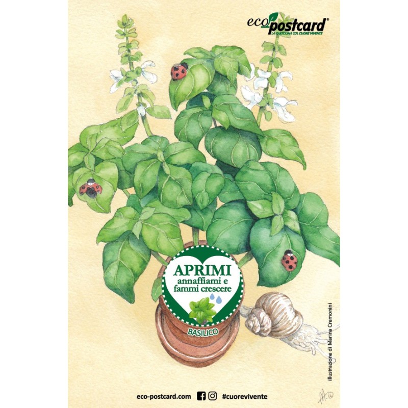 Eco-Postcard cartolina illustrazione ad acquerello - Basilico