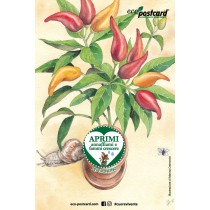 Eco-Postcard cartolina illustrazione ad acquerello - Peperoncino