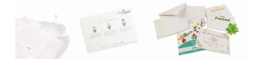 Eco-Card
