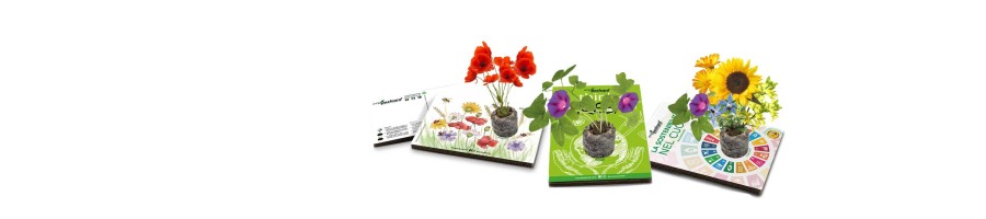 Cartoline ecologiche con semi: idee regalo green, eco gadgets | Eco-Postcard