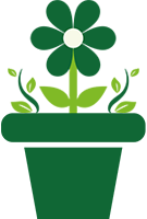 Eco-Card istruzioni - passo 4